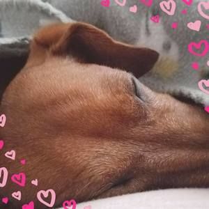 Meet your Posher, Cassandra